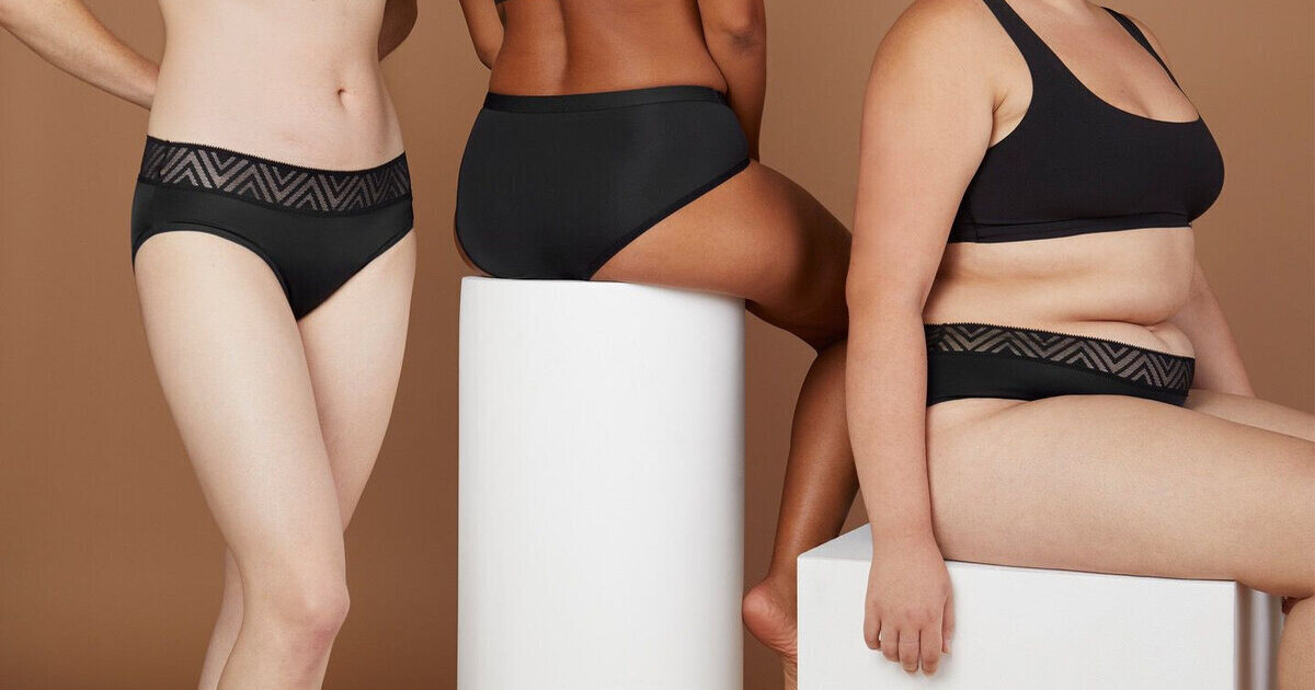 A Guide To Help You With Thinx Size Chart