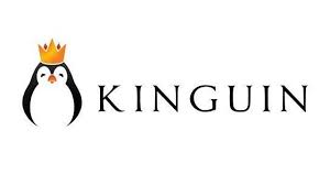 KINGUIN Coupons & Promo Codes