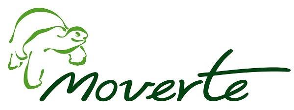 Moverte Coupons & Promo Codes