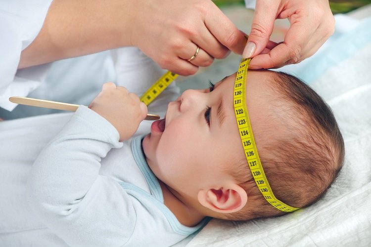 baby head measure