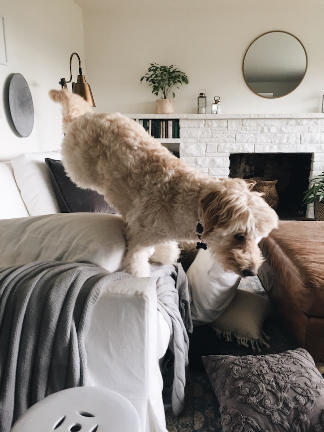 Tips For Caring And Cleaning Your Slipcovers