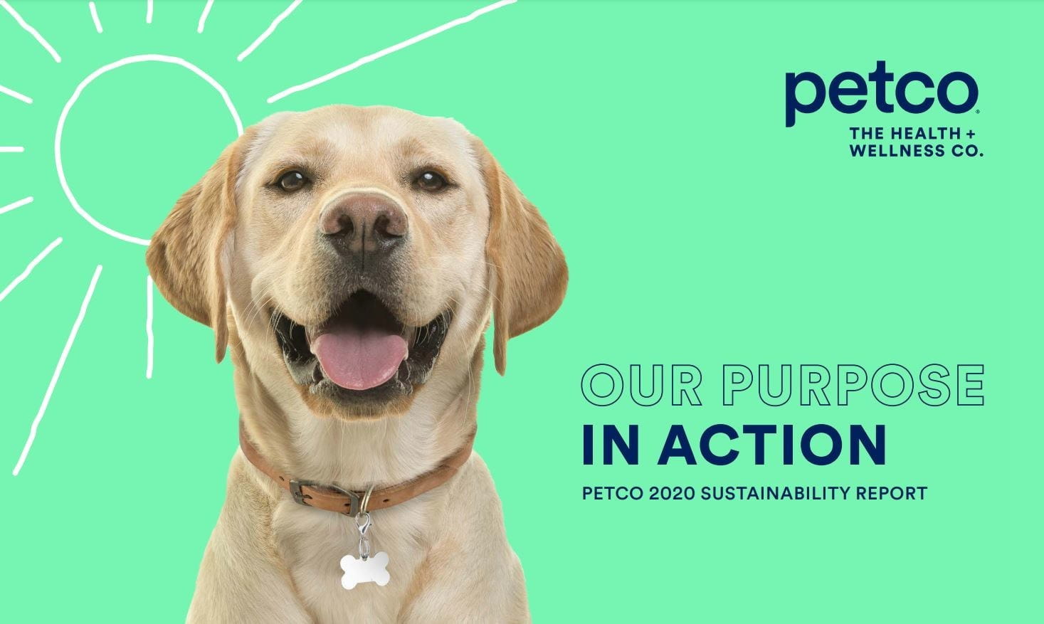 Petco printable grooming coupon - A dog with happy smile