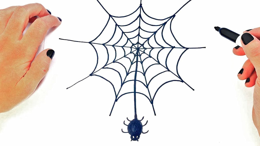 How to draw Spiders & Spider Webs?